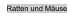 Ratten und Mäuse
